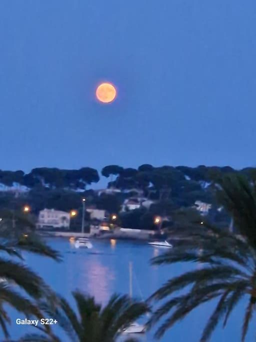 Cozy Studio, Sea View, Old Town, Near Beaches Antibes Exteriér fotografie