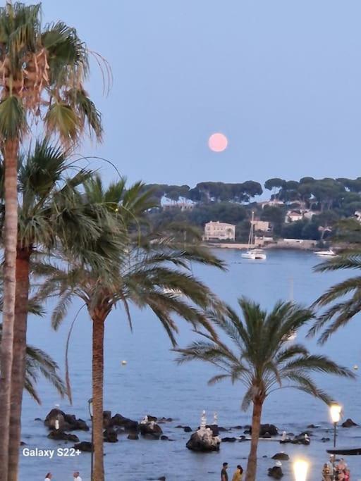 Cozy Studio, Sea View, Old Town, Near Beaches Antibes Exteriér fotografie