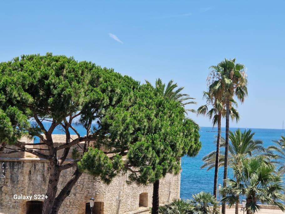 Cozy Studio, Sea View, Old Town, Near Beaches Antibes Exteriér fotografie